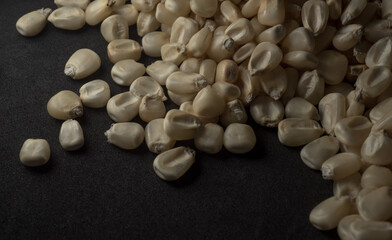 Mexican White Corn macro close up,