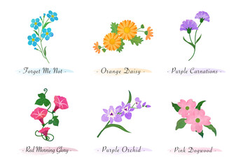 Watercolor botanic garden nature plant flower forget me not daisy carnation morning glory orchid dogwood