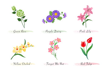 Watercolor botanic garden nature plant flower rose daisy lily orchid forget me not tulip