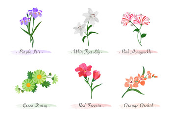 Watercolor botanic garden nature plant flower iris tiger lily honeysuckle daisy red freesia orchid