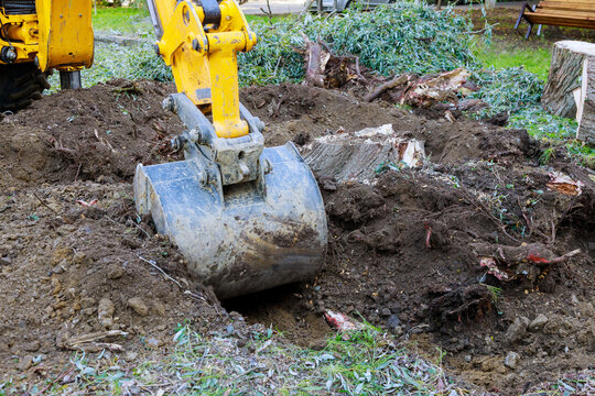 Yard Work Bulldozer Clearing Land From Old Trees, Roots And Branches With Backhoe Machinery In Urban Neighborhood.