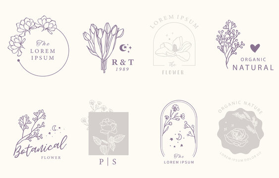 Beauty occult design collection with geometric,tulip,lavender,magnolia.Vector illustration for icon,sticker,printable and tattoo