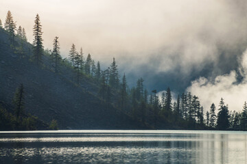 Beautiful silhouettes of pointy fir tops on hillside along mountain lake in dense fog. Coniferous trees above shiny calm water. Alpine tranquil landscape at early morning. Ghostly atmospheric scenery.