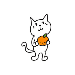 オレンジを持っている白い猫
