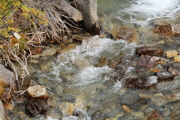 Flow Of Tangle Falls, Jasper National Park, Alberta