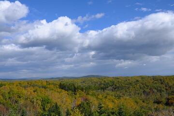 Fototapeta premium 秋の山