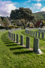 Fototapeta na wymiar war cemetery