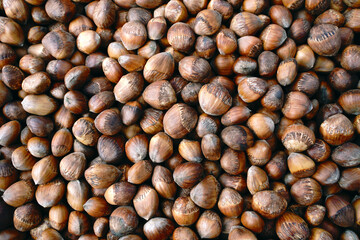 background with bear hazelnuts in shell