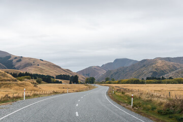 long road in yellow grass valley with sky and white cloud