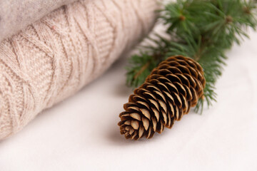 Woolen sweaters with spruce branch on white background