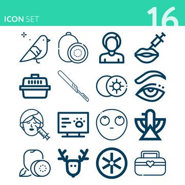 Simple set of 16 icons related to fauna