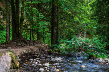 ruisseau 