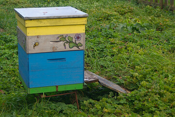 beehive on a green lawn in autumn
