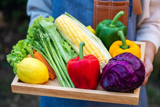Closeup image of a woman holding a fresh mixed vegetables in a wooden tray