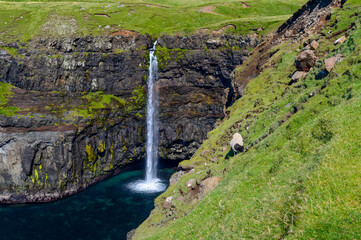 Gásadalur Waterfall 