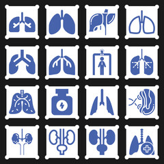 16 pack of liver  filled web icons set