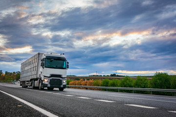 Fototapeta na wymiar Livestock truck driving on a highway under a dramatic sunset sky.