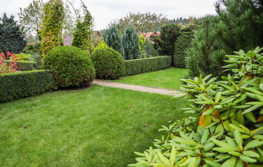 Obraz premium Landscaping of a garden with a bright green lawn, colorful shrubs, decorative evergreen plants and shaped boxwood (Buxus Sempervirens) in autumn. Gardening concept.