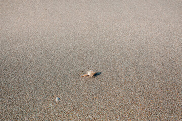 footprints on the sand