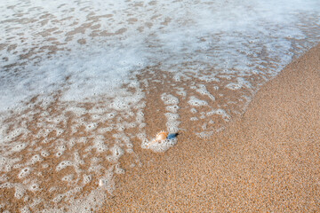 Soft wave on sandy beach. Background.the sea on beach.