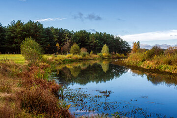 Jesień nad starorzeczem Narwi w Strękowej Górze, Poglasie, Polska