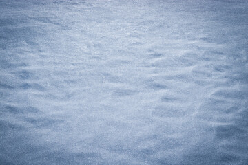 Winter christmas background, white snow texture with blue toning, copy space