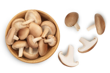 Fresh Shiitake mushroom in a wooden bowl isolated on white background with clipping path. Top view. Flat lay