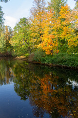 autumn landscape lake surrounded by trees