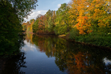 Fototapeta na wymiar autumn landscape lake surrounded by trees