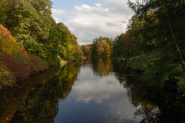 Obraz premium autumn landscape lake surrounded by trees