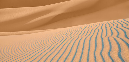 Beautiful sand dunes in desert.