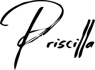 Priscilla-Female Name Modern Brush Calligraphy Cursive Text on White Background