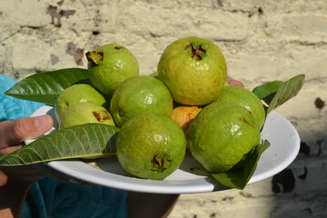 Obraz premium Fresh harvested guava in a plate.