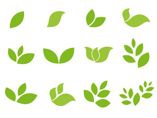 Set of vector botanical with green leaves on white background,illustration leaf for design or decorative invitation wedding card or backdrop and wallpaper 
