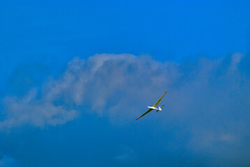 plane in the sky