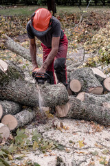 professional lumberjack in action