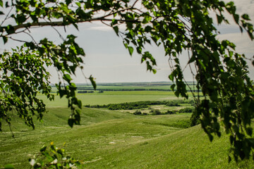 landscape in a frame