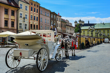 beautiful horses on the old town of Cracow in Poland