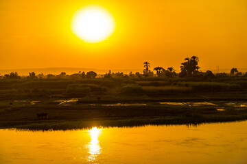 Obraz premium Sunset on the river with palm trees and villages on the river bank, seen from the Nile river cruise. Egypt. Sailing from Luxor to Aswan, view of traditional villages and the nature of the Nile river