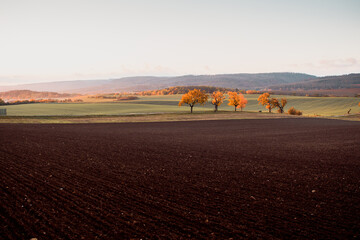 Wide countryside landscape view of beautiufl soft mornung light with colorful autumn trees in the nature. Morning of german fields. Harz National Park, Harz Mountains in Germany