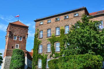 Fototapeta na wymiar royal castle in Cracow, Poland