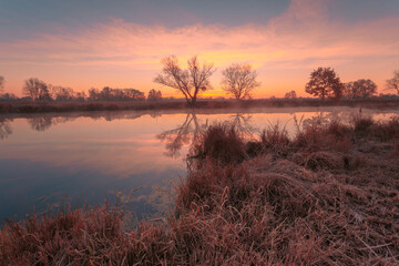 Fototapeta na wymiar Autumn morning scenery. Beautiful foggy sunrise dreamy lake. Dry grass and canes on foreground.