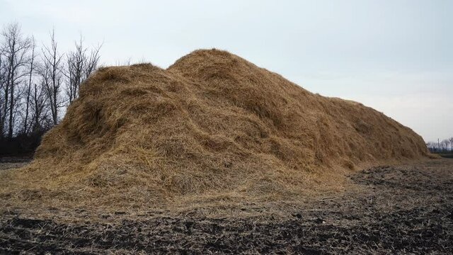 large pile of hay lying on the ground
