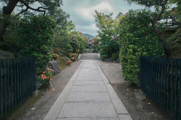 Japanese traditional garden landscape in summer