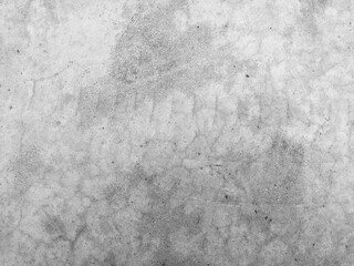 Fototapeta premium old gray concrete wall for background