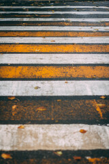 White and orange road zebra