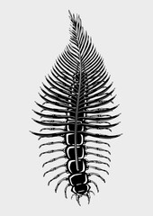 Scolopendra bug with tropical leaf. Insect with palm tree. Tattoo style vector print. Poster with beetle and exotic flora. Mimicry concept.