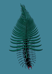 Scolopendra bug with tropical leaf. Insect with palm tree. Tattoo style vector print. Poster with beetle and exotic flora. Mimicry concept.