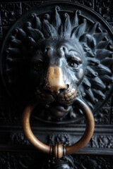 lion head door knocker