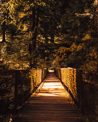 old bridge in the park